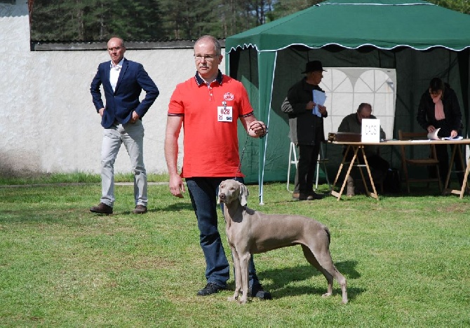 des portes des Weppes - NE 2016