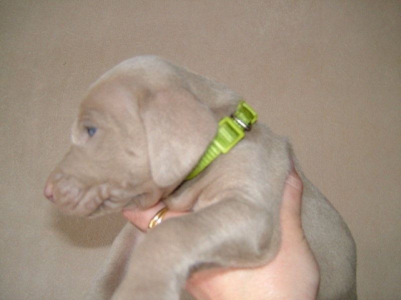 Dalton bébé